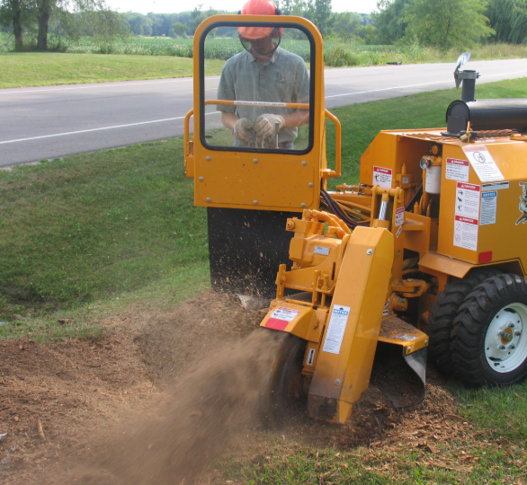 An image of stump grinding in Whittier, CA.